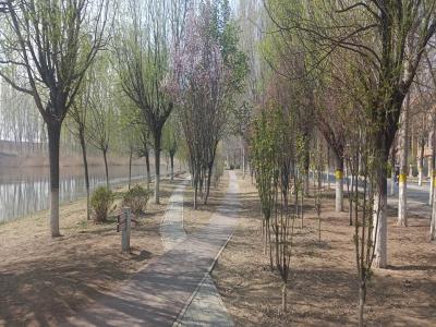 永定河故道国家湿地公园