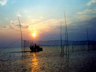 驴驹河赶海拾贝