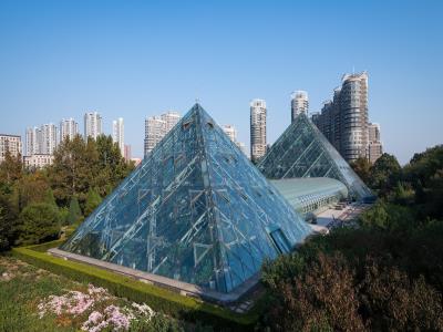 泰达热带植物园