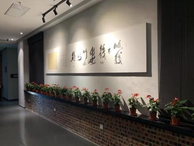 杨议美术馆