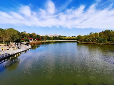 天津塘沽森林公园