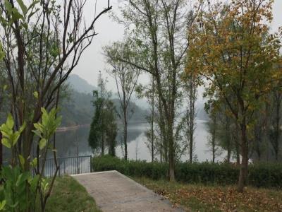 苟溪桥水库
