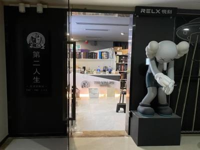 第二人生沉浸式推理