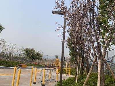 同畔体育文化公园