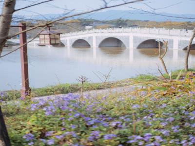 樱花橘香农业公园