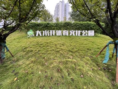 大水井体育文化公园