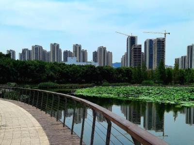 踏水公园