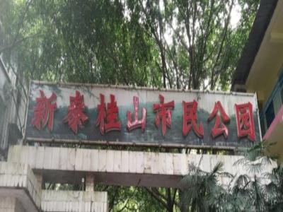 新泰桂山市民公园