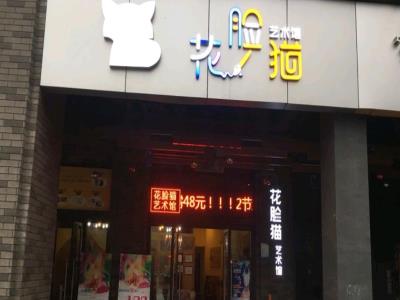 花脸猫艺术馆