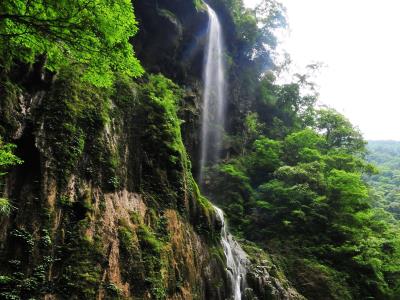 飞鱼瀑