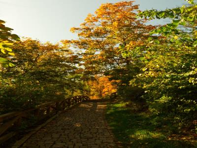思缘公园