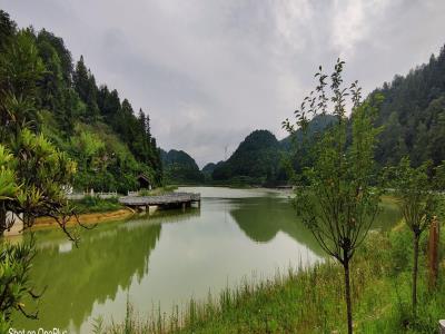 龙马谷生态鱼养殖基地
