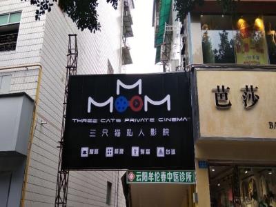 三只猫私人影院