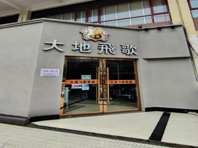 大地飞歌