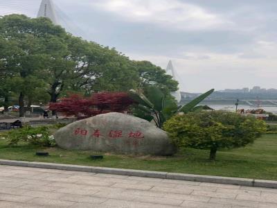 阳春湿地