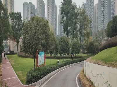 市政规划公园