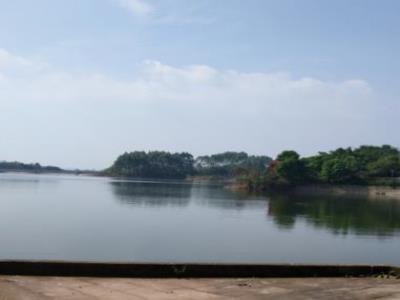 迎风湖国家湿地公园