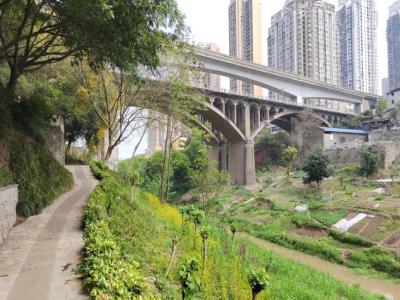 箭滩河亲水公园
