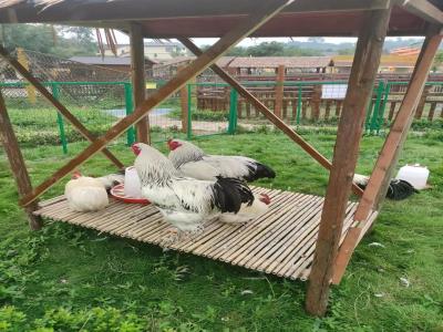香蜗蜗自然乐园