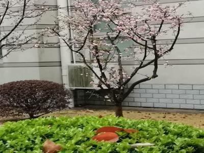 龙凤溪公园