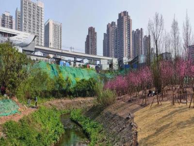 康庄美地社区公园