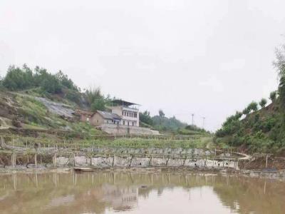 江津夹滩镇