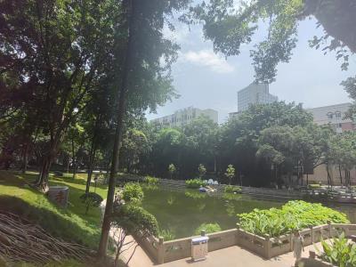 渝高公园