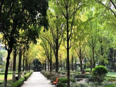 圣国平伟商业步行街