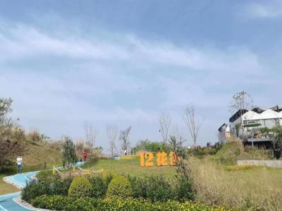 重庆鲜花港公园