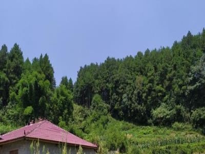 隆兴寺