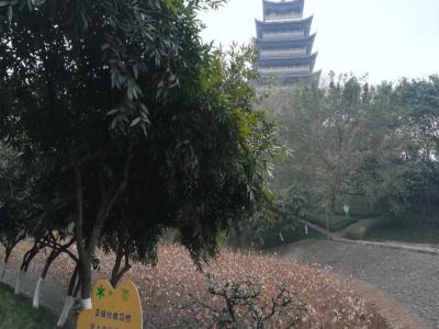 荣昌夏布非遗文化园