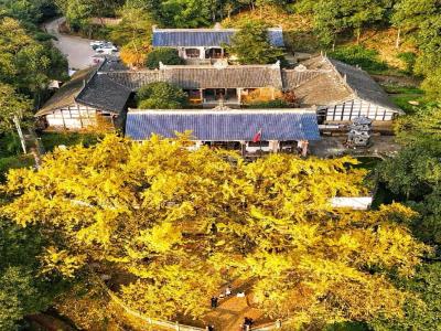 慧光寺