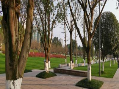 重庆中央公园绿荫丛台