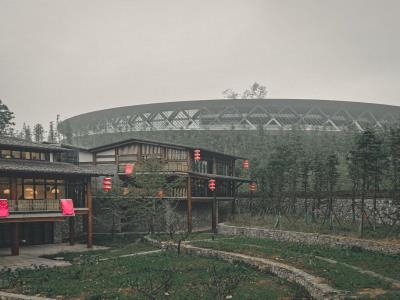 南川大观园树型园