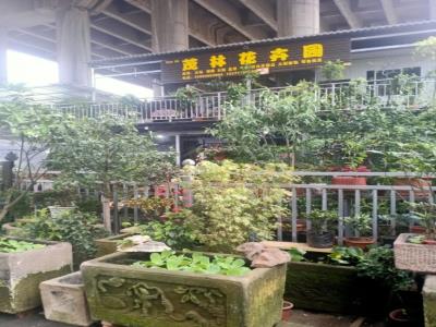 茂林花卉园(大山村轻轨站店)