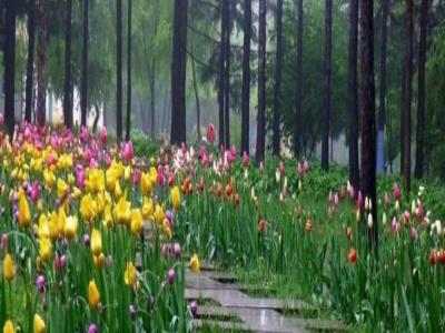 渝西植物园