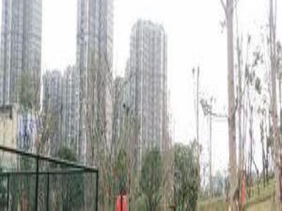 弹子石社区体育文化公园