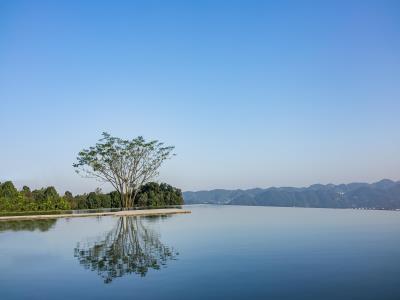 寨山坪公园