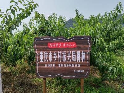 花语果乡采摘园