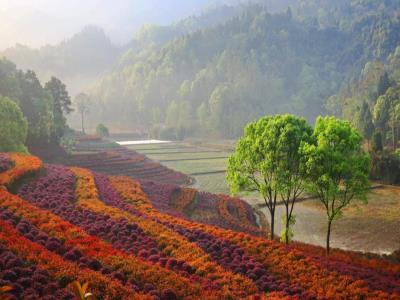 溪上花p秀美乡村
