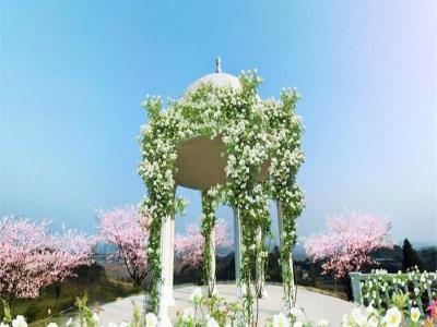 七彩铜锣民俗艺术花都