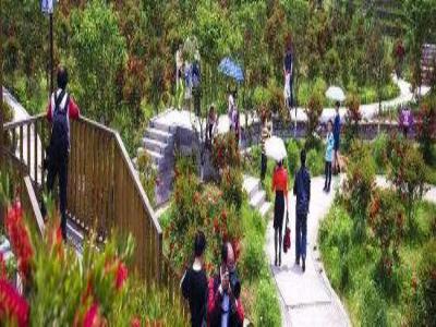 重庆乡村旅游十二金钗大观园