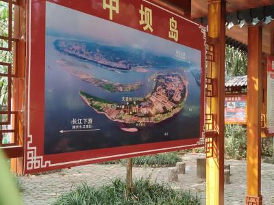 江津中坝岛