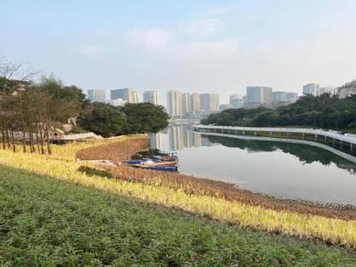 金山公园