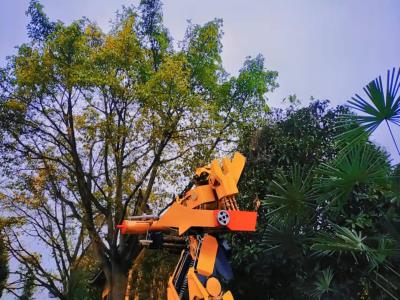睡仙温泉