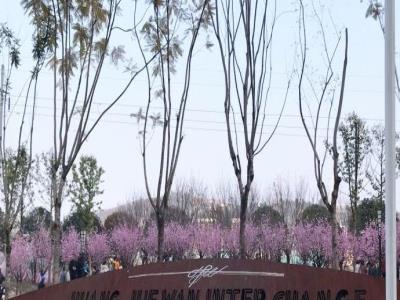 黄桷湾公园