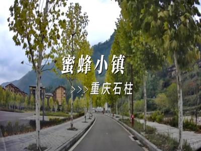 中益中华蜜蜂小镇