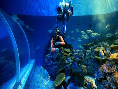 极海潜水俱乐部（汉海海洋公园潜店）
