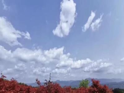松木嘴红枫园