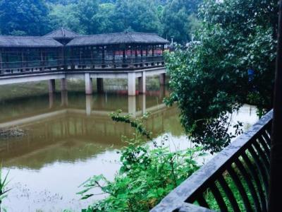 白市驿森林公园
